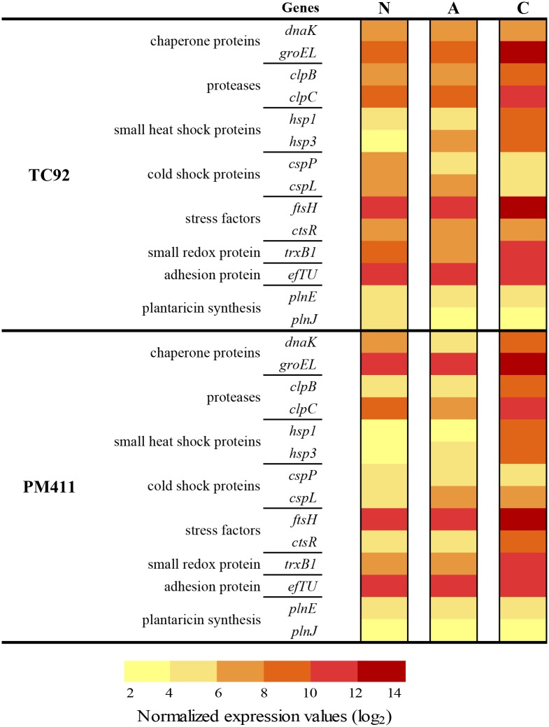 Fig 4