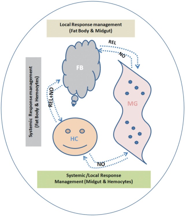 Figure 12