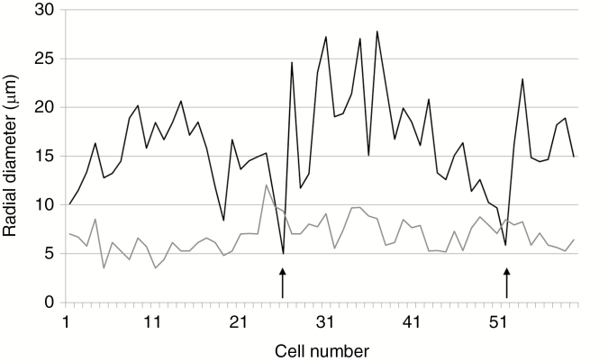 Fig. 4.