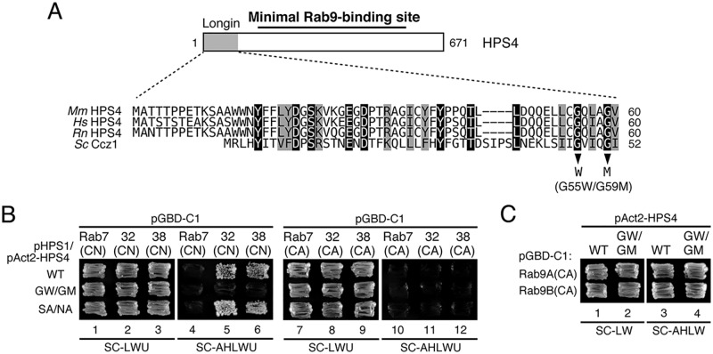 Figure 5.