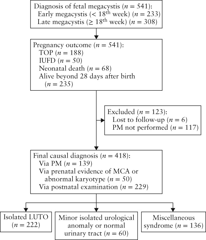 UOG-19182-FIG-0001-b