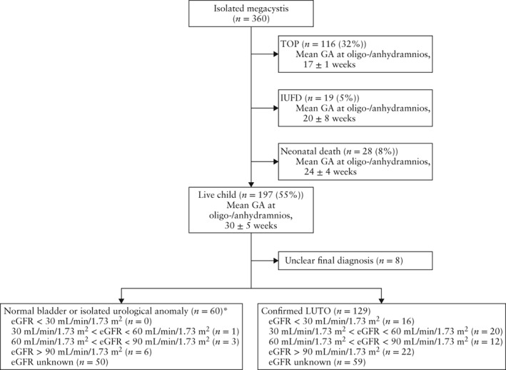 UOG-19182-FIG-0003-b