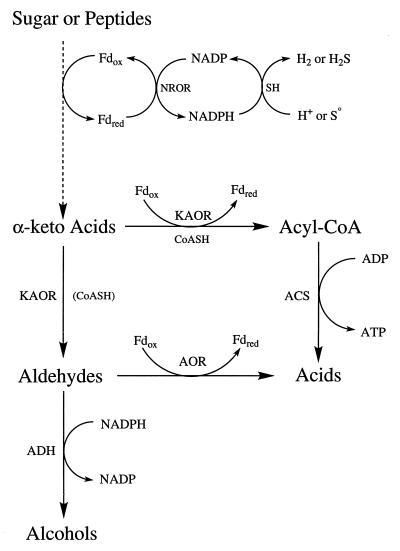 FIG. 5