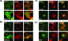 FIG. 2.