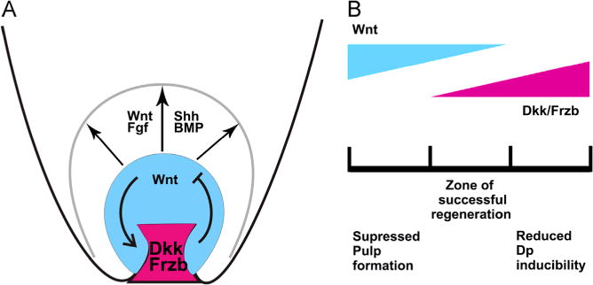 Fig. 9