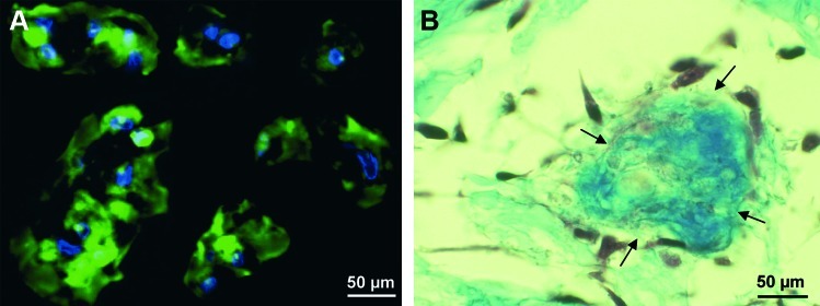 FIG. 5.