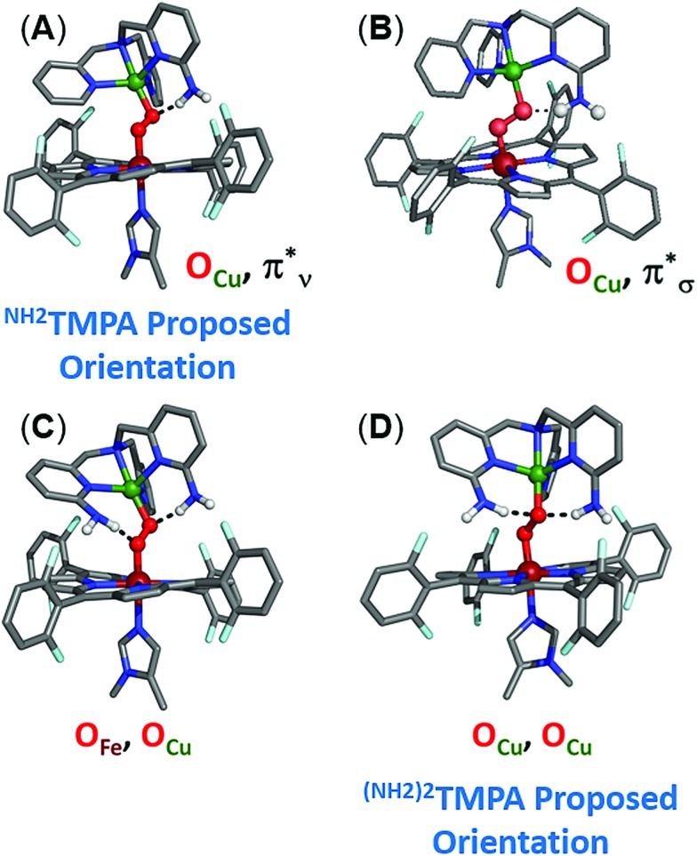 Fig. 10