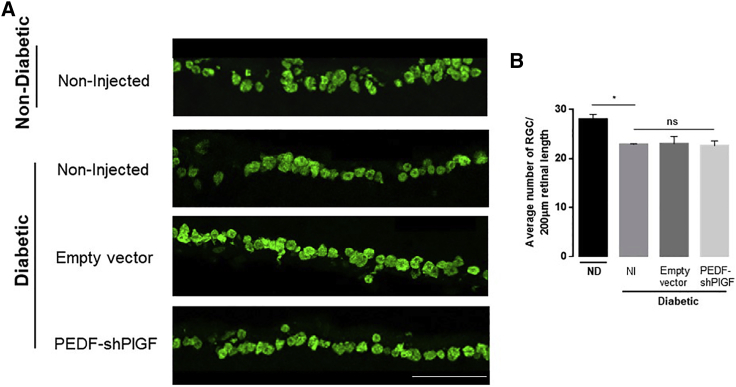 Figure 6