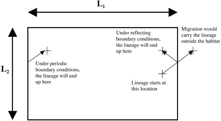 Figure 1.—