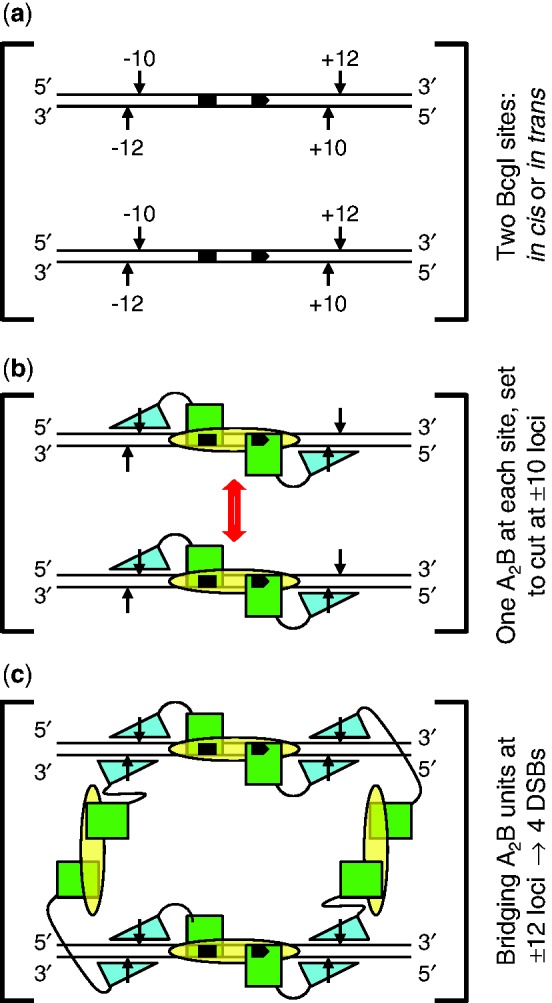 Figure 9.