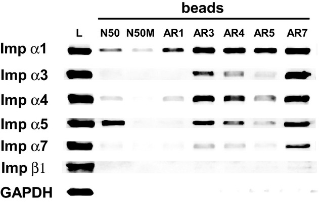 Figure 7.