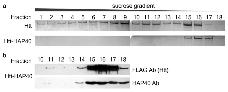 Extended Data Fig. 1