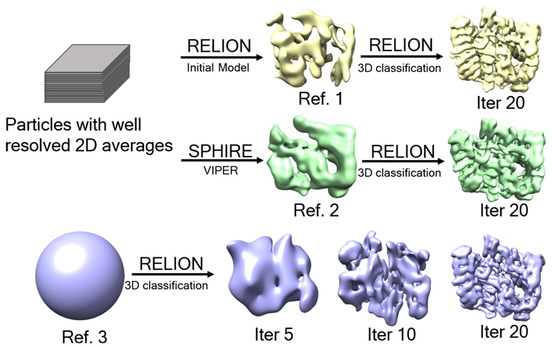 Extended Data Fig. 8