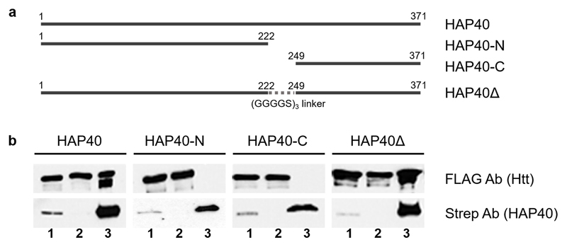 Extended Data Fig. 6