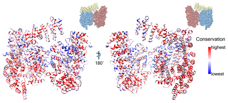 Extended Data Fig. 7