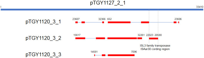 Figure 3.