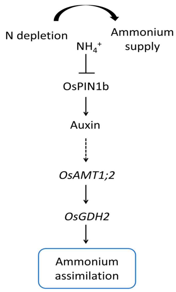 Figure 8