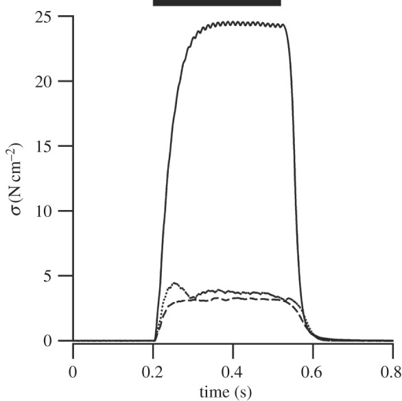 Figure 1.