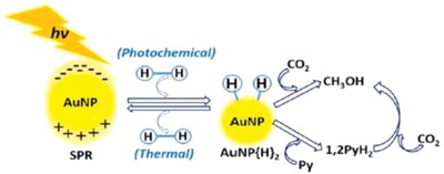 Figure 23