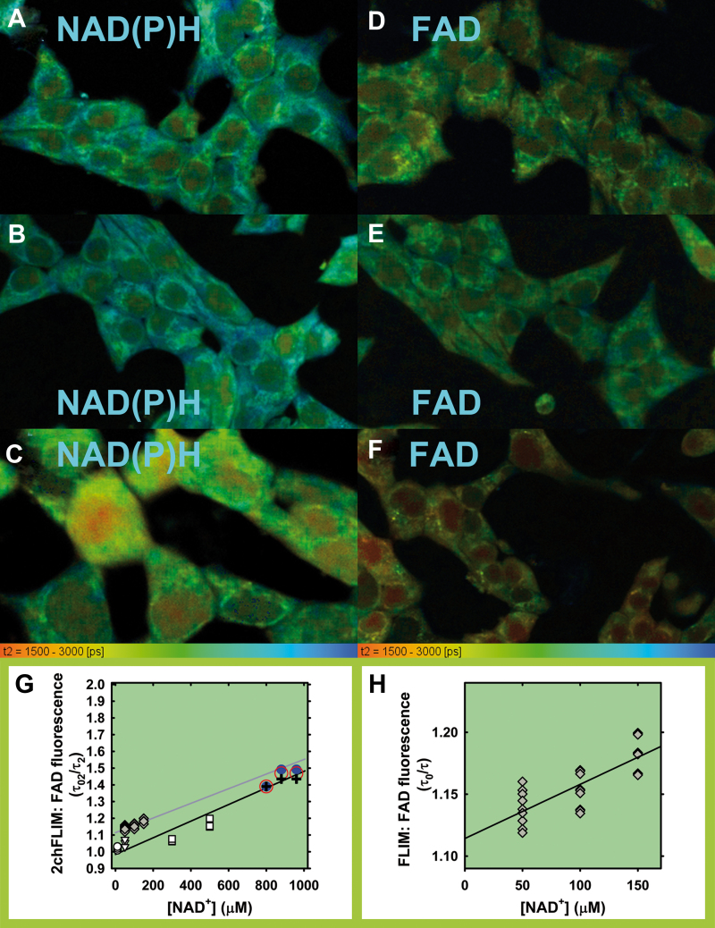 FIG. 7.