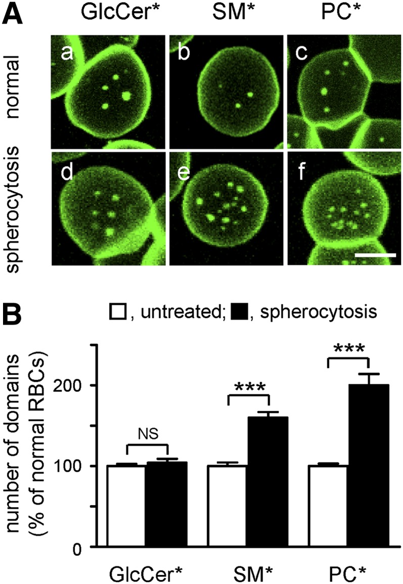 Fig. 6.