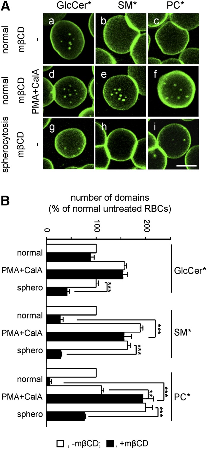 Fig. 7.