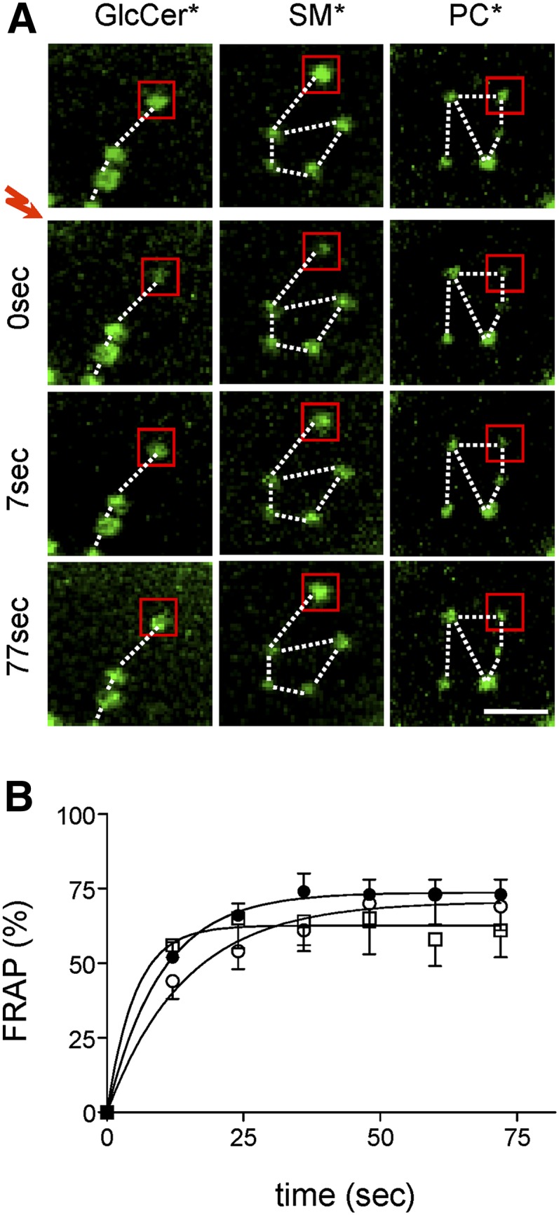 Fig. 4.