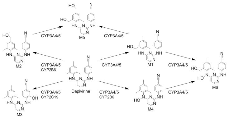 Fig. 10