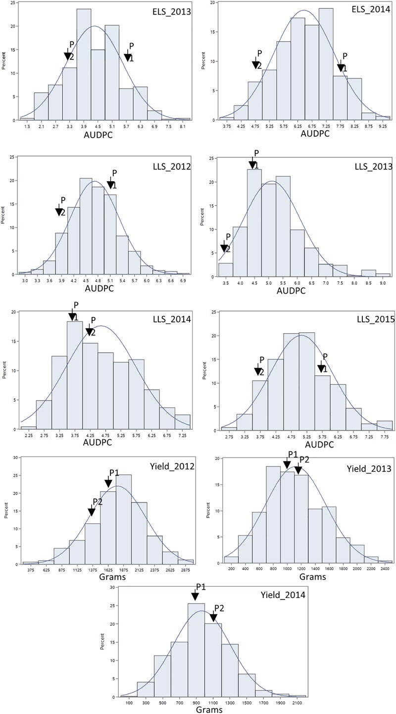 FIGURE 2