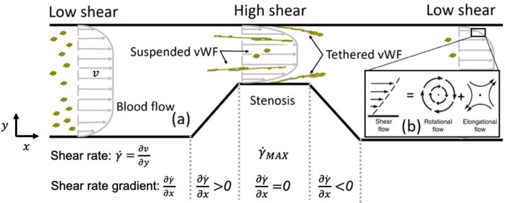 FIG. 6.