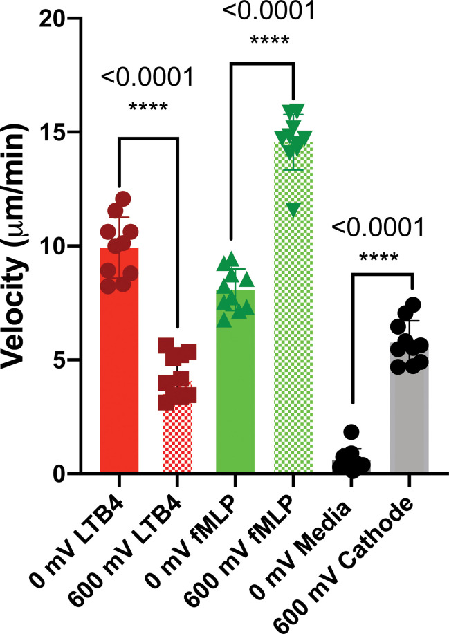 Figure 6