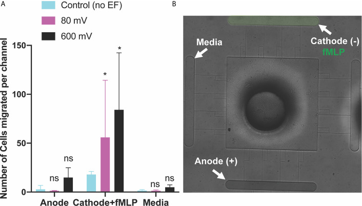 Figure 5