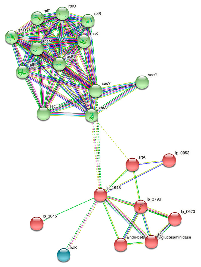 Figure 7