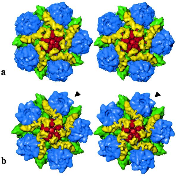 FIG. 3