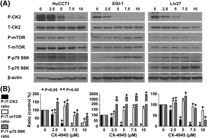 Supplementary Figure 1