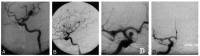 <sc>fig</sc> 1.