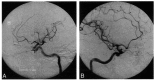 <sc>fig</sc> 2.