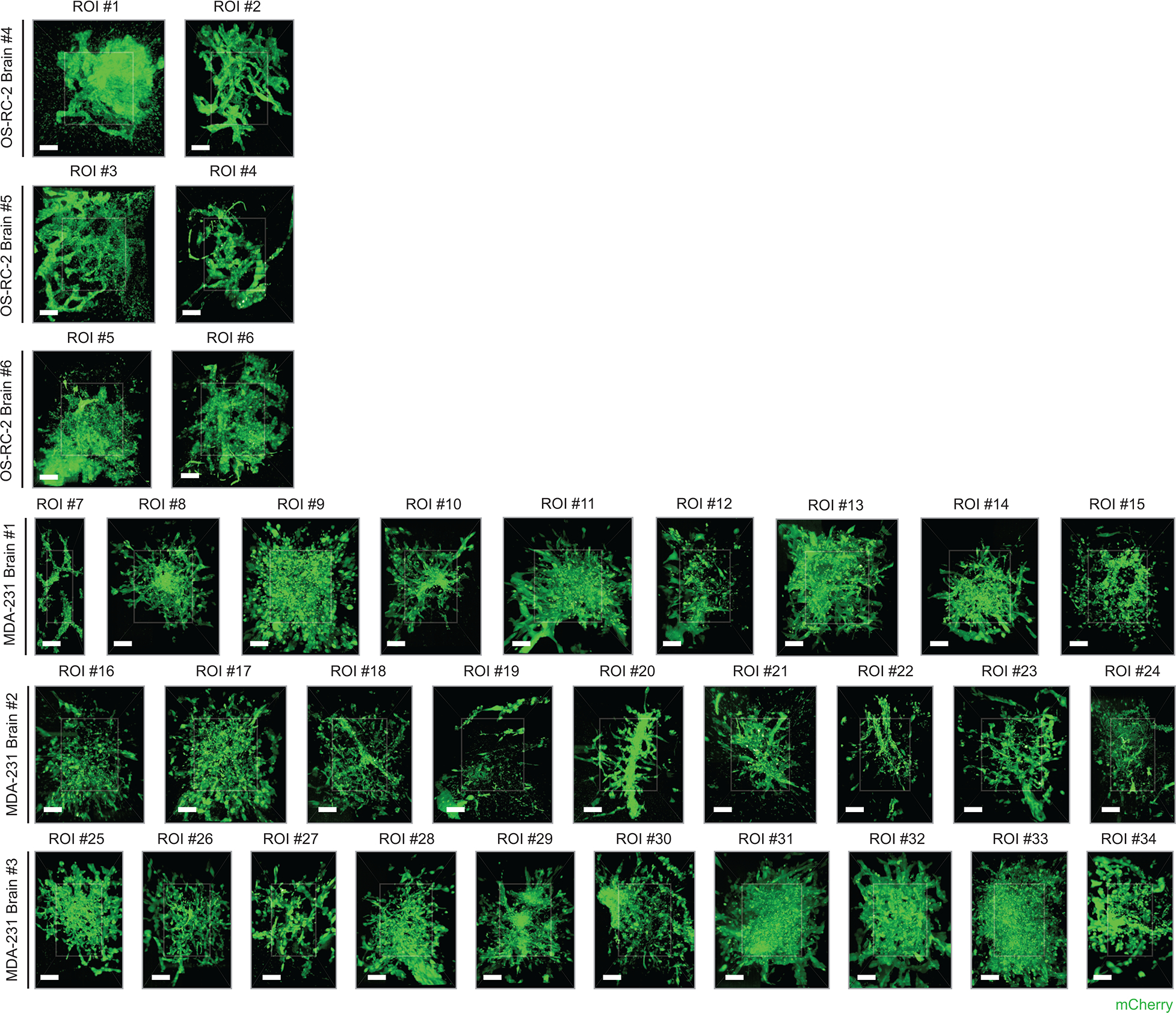 Extended Data Figure 1 |