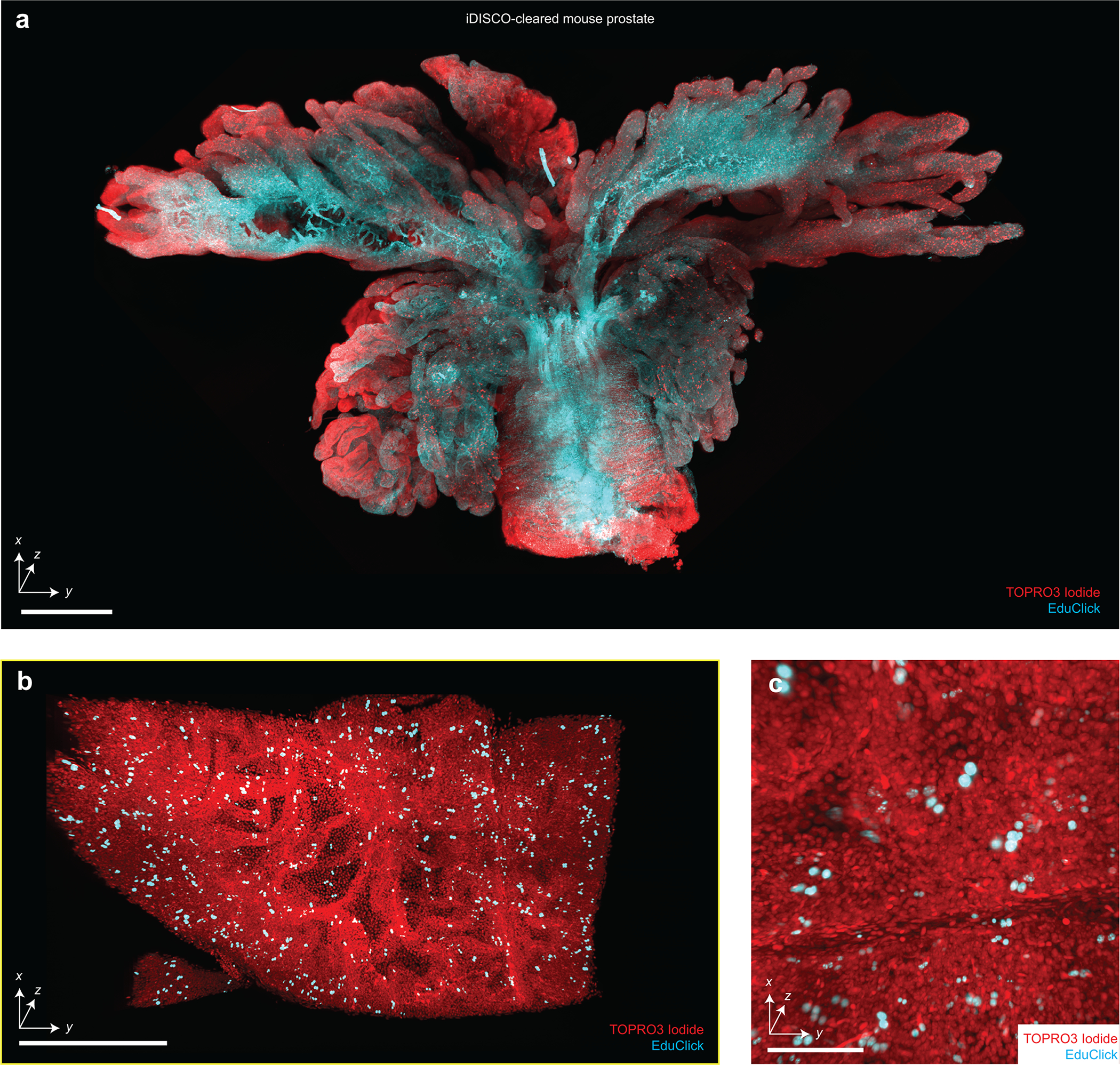 Extended Data Figure 3 |