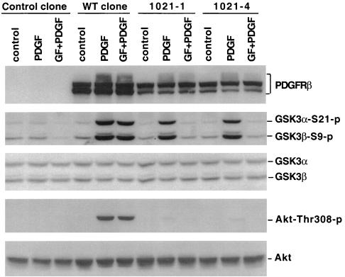 FIG. 8.