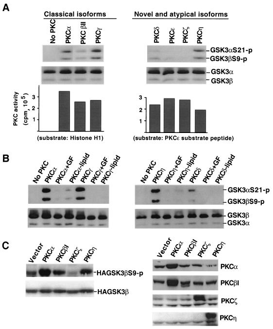 FIG. 7.