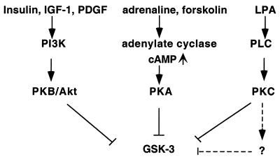 FIG. 9.