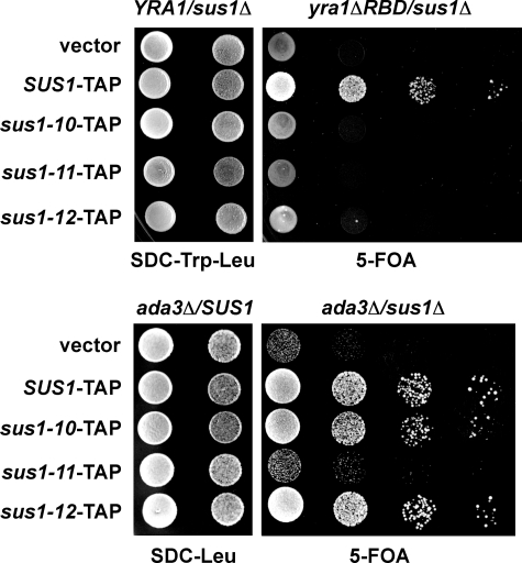 FIGURE 4.