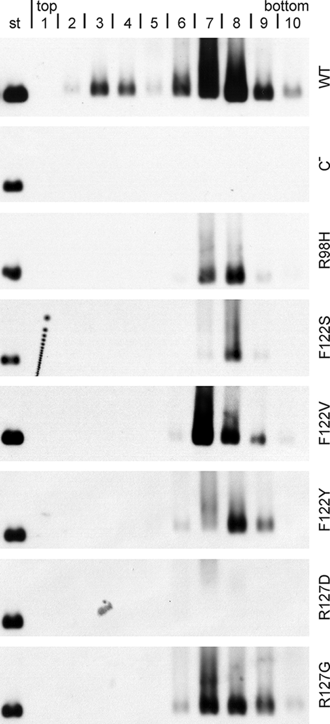 FIG. 6.