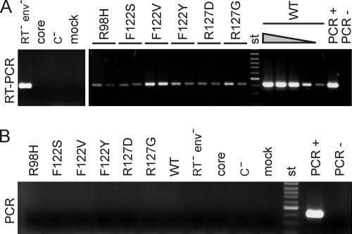 FIG. 5.