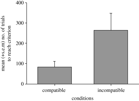 Figure 3.