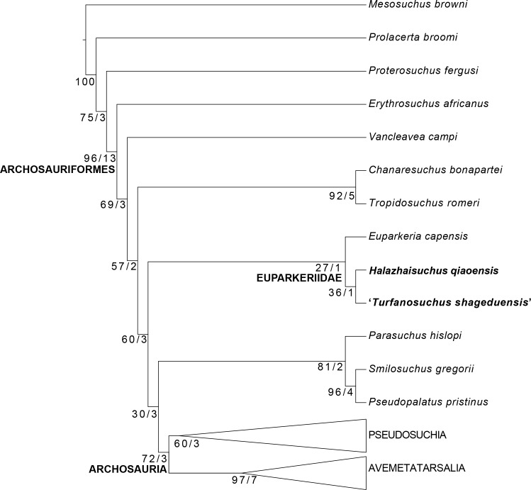 Figure 11