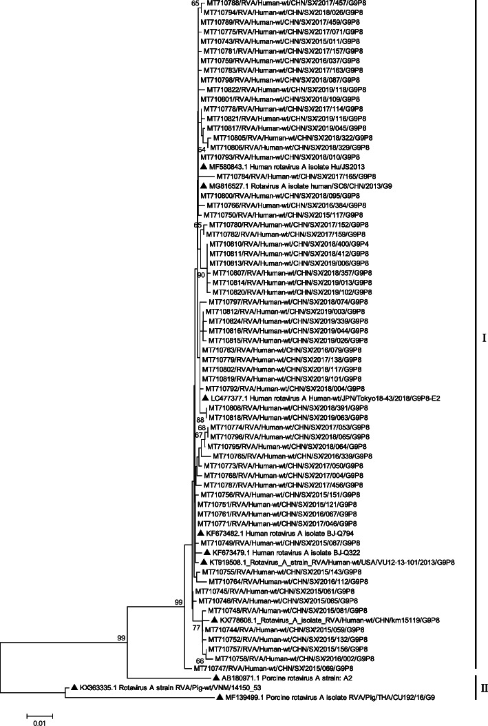 Fig. 6