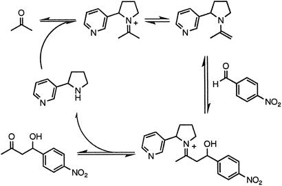 Fig 2.