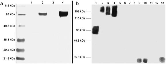 Fig 4.